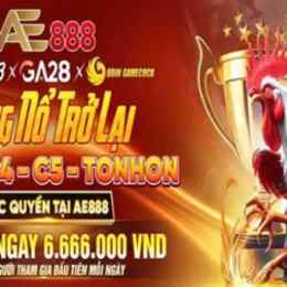 ae888 đá gà thôm