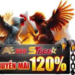 ae8888 đá gà