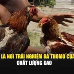 alo789 da ga cua sat