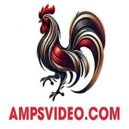 ampsvideo đá gà