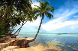 ảnh chụp màn hình bãi dài gành dầu phú quốc
