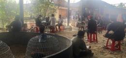 ảnh chụp màn hình bắt đá gà đức hòa