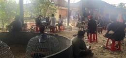 ảnh chụp màn hình bắt đá gà ở cái bè tiền giang