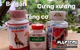 ảnh chụp màn hình các loại thuốc gà đá