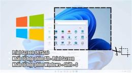 ảnh chụp màn hình chim cu gáy đậu trên cành