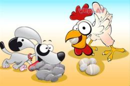 ảnh chụp màn hình chó ăn đá gà ăn sỏi là ở đâu