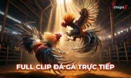 ảnh chụp màn hình coi đá gà thomo c1