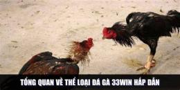 ảnh chụp màn hình đá gà 33win 33win.tech