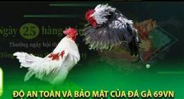 ảnh chụp màn hình đá gà 69vn