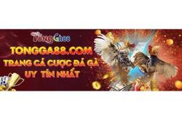 ảnh chụp màn hình đá gà 88 gà tre