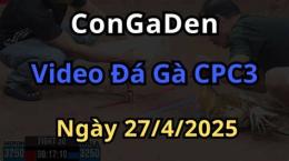 ảnh chụp màn hình đá gà cpc3 ngày 27 6