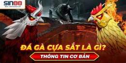 ảnh chụp màn hình đá gà cựa sắt noci88vn.com