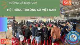 ảnh chụp màn hình đá gà dakpuer 888 trực tiếp