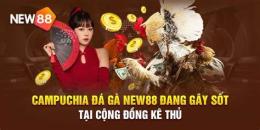 ảnh chụp màn hình đá gà new88 1new88.com