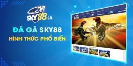 ảnh chụp màn hình đá gà sky88