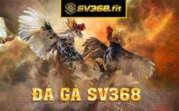 ảnh chụp màn hình đá gà sv368.info