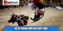ảnh chụp màn hình đá gà thomo hôm qua trận 30