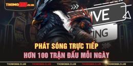 ảnh chụp màn hình đa ga thomo88
