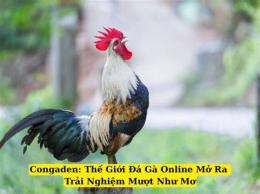 ảnh chụp màn hình da ga trực tiếp congaden