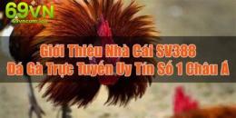 ảnh chụp màn hình đá gà trực tiếp sv 388