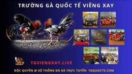 ảnh chụp màn hình đá gà trực tiếp viengxay