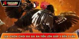 ảnh chụp màn hình daga88 đá gà 88 trực tiếp