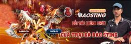ảnh chụp màn hình gà bảo sting đá giải