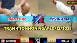ảnh chụp màn hình gà bảo sting đá hôm nay