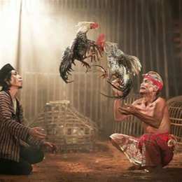 ảnh chụp màn hình gà chọi khô da