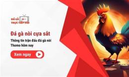 ảnh chụp màn hình gà đá giải c3 trận 54