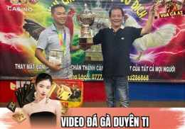 ảnh chụp màn hình gà duyên ti đá thomo c3