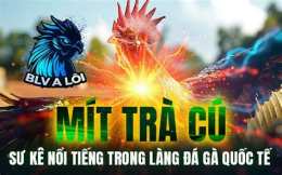 ảnh chụp màn hình gà mít trà cú đá