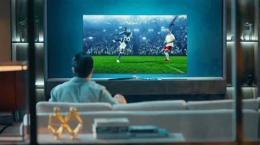 ảnh chụp màn hình gà vàng tivi bóng đá world cup