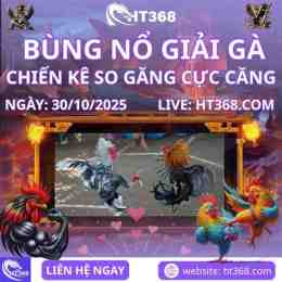 ảnh chụp màn hình ht368 đá gà