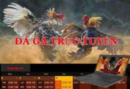 ảnh chụp màn hình kèo đá gà kimsa