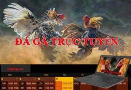 ảnh chụp màn hình kèo đá gà new88