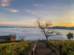 ảnh chụp màn hình lau ga da lat