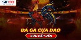 ảnh chụp màn hình mẹo đá gà cựa dao