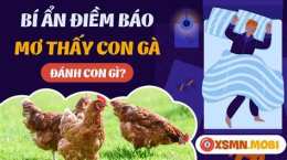ảnh chụp màn hình nằm mơ thấy đá gà đánh số may