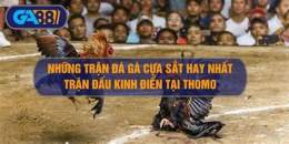 ảnh chụp màn hình nhung tran ga da cua sat hay nhat