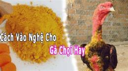 ảnh chụp màn hình rượu om gà đá