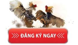 ảnh chụp màn hình tai khoan da ga sv388