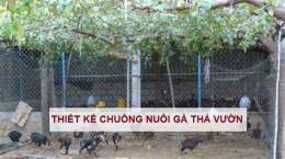 ảnh chụp màn hình thiet ke chuong nuoi ga da