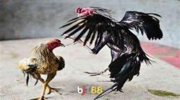 ảnh chụp màn hình thời tiết hôm nay đá gà trực tiếp hôm nay