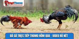 ảnh chụp màn hình thomo da ga truc tiep