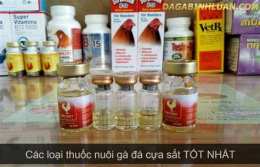 ảnh chụp màn hình thuốc chích gà đá cựa sắt