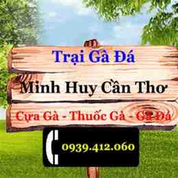 ảnh chụp màn hình thuốc gà đá cần thơ