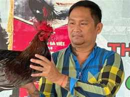 ảnh chụp màn hình thuốc gà đá mít trà cú