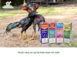 ảnh chụp màn hình thuoc tang luc ga da