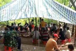ảnh chụp màn hình tổ chức đá gà
